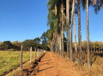Rural · 33900m² · 4 Quartos · Rurais à venda - na Zona Rural