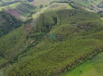 Rural · 50m² · Ótima fazendinha de 50 ha com 28 ha de eucalipto