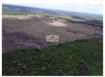 19cad2b70e15bea16c926fb1c2fa1a8b.jpg · Fazenda com 233 hectares, dupla aptidão, com 100 hectares abertos