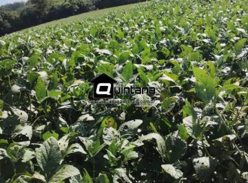 Rural · 3900000m² · Vendo fazenda 390 hectares em Piratini