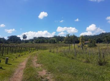 Foto 10 · Área de 25.2 Hectares a 18 km do Centro de Gramado
