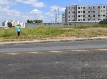 Foto 01 · Terreno Plano 300m2 Comercial, Excelente Localização, Agua, Luz, Asfalto, Esgoto!