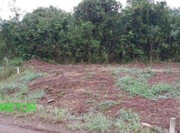 Foto 01 · Terreno, Linha Esperança, Maratá, RS