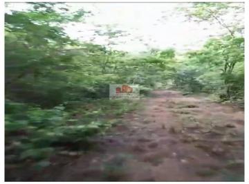 ea2fd271d9bc345a969dffc180e959f9.jpg · Fazenda na região de Regeneração, com 1000 hectares, terra bruta, dupla aptidão