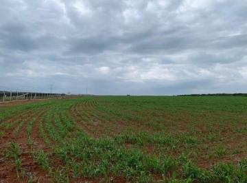 Terreno · 71000m² · Terreno à venda Industrial no asfalto a 3 Km de distância da Rodovia Castelo Branco Km 111. 