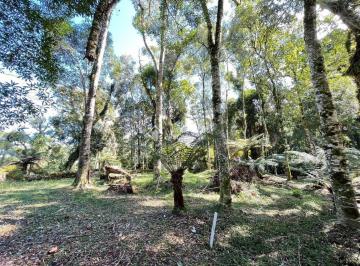 472019_i49lS77TwO96J9MUD9_472019661425057be23.jpg · Terreno no bairro Mato Queimado