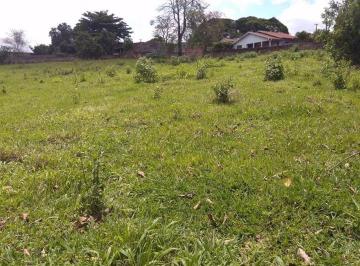 0732e0eece778769347e8c8e798ae27c8d7655ab · Terreno Residencial à venda, Dom Bosco, Ibiporã - TE1068.