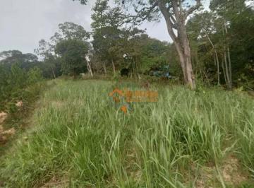 df15e84a1ef36eec8634b4e2ff0557a75c16b16d · Terreno à venda, 5000 m² por R$ 2.500.000,00 - Capelinha - Guarulhos/SP