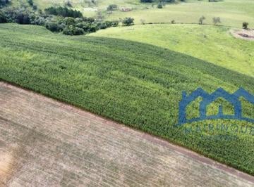 Foto 02 · Sítio/Fazenda à Venda, 11 alqueires por R$ 2.000.000 Cód. ch1612