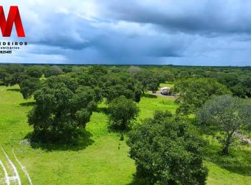 Rural , Chorozinho · Excelente Fazenda em Chorozinho 200 hectares