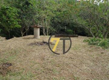 0a256dedc88dd48a81a5770d0fc356a2573bdb06 · Oportunidade de Sítio 6,6 Hectares Próximo a Humaitá, Estrada de Torreões