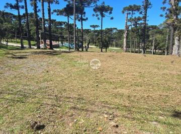 Terreno · 421m² · VENDE-SE TERRENO LOTEAMENTO JARDIM DO FAROL EM CANELA