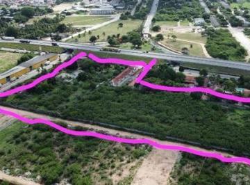 Terreno Padrão, Papagaio · Terreno à venda - em Papagaio