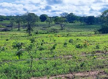 Foto 01 · Fazenda, Fazenda de 2.050 Hec., Januária, MG