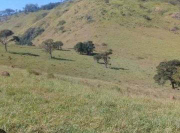 Rural , Cristino Castro · FAZENDA EM CRISTINO CASTRO PI