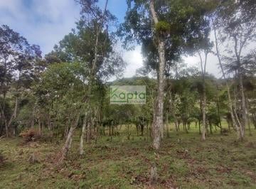 Terreno · 1500m² · Terreno Lote, Barnabes~sp