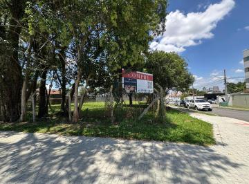 Terreno no Tarumã · TERRENO DE ESQUINA  E BEM LOCALIZADO NO TARUMÃ | 7
