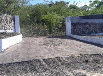 Terreno , Igarassu · Terreno de 1ha em Igarassu com poço – Venda ou Aluguel