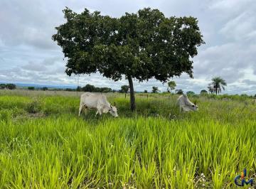 Rural · 1000m² · 3 Quartos · 1 Vaga · Fazenda em Jangada