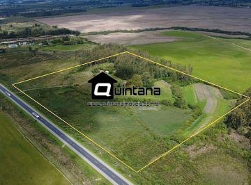 Terreno · 80000m² · Vendo área na zona industrial de Pelotas