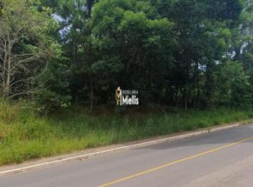 29312897_g.jpg · 
                                TERRENO PRÓXIMO AO LAGO TARUMÃ - VIAMÃO - RS
                      