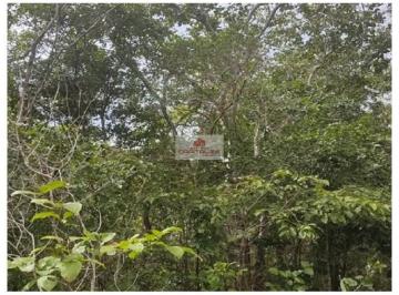 cd72511070248bfbf3dbfcb4f57f879e.jpg · Fazenda dupla aptidão, bruta, distante 30km da zona urbana