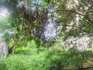 bb4279f4e51a50a40722dbd06914ff235a3b7441 · Terreno, 2000 m² - venda por R$ 6.500.000,00 ou aluguel por R$ 15.000,00/mês - Anhangabaú - Jundiaí/