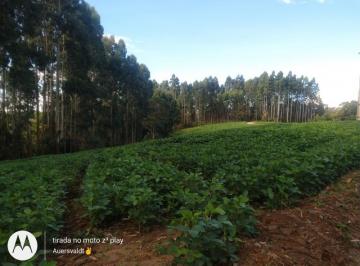 Foto 01 · Área Rural, Distrito de Moema, Itaiópolis, SC