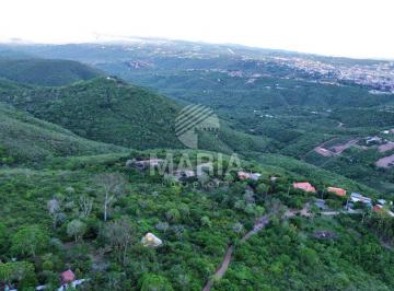 Terreno , Gravatá · Área com 31 mil metros em Gravatá/PE!