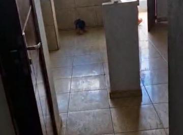 Comercial de 13 quartos, Guará · PRÉDIO COM ESCRITURA DANDO R$ 6.200 DE RENDA OPORTUNIDADE ÚNICA LINDA VISTA!