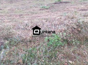 Rural · 4140000m² · vendo 414 hectares em Pinheiro Machado