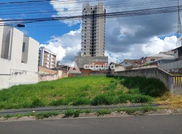 20231206_1431301713445612751.jpg · Terreno à venda, Centro, próximo UEPG, Ponta Grossa, PR