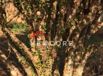 Rural de 1 quarto, Londrina · Chácara em Rua Encarnação Carnisari Guerreiro - Parque Nacional - Londrina/PR