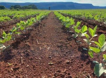 Rural · 144070000m² · FAZENDA  DUPLA APTIDÃO VILA BELA
