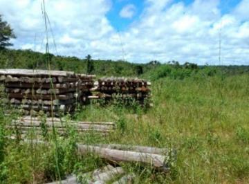 Rural · 55860000m² · Fazenda a venda Paragominas PA