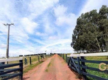 Rural · 410000m² · 8 Quartos · Negócio pronto, Leiteria completa no Paraná .