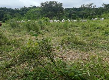 Rural · 4320000m² · 2 Quartos · 1 Vaga · VENDA | Fazenda, com 2 dormitórios em Zona Rural, Guarantã Do Norte