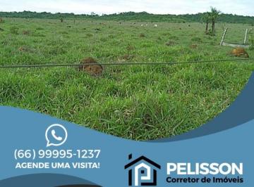 Rural · 1113000m² · 2 Quartos · 1 Vaga · VENDA | Fazenda, com 2 dormitórios em Zona Rural, Guarantã Do Norte
