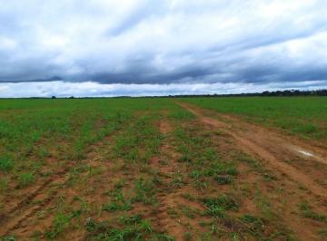 Rural · 7260000m² · FAZENDA A VENDA EM TALISMÃ-TO!