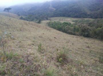 Rural · 8540000m² · FAZENDA A VENDA NA PECUÁRIA PRÓXIMO CURITIBA-PR!