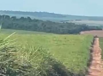 Rural · 1210000m² · 2 Quartos · 2 Vagas · VENDA | Fazenda, com 2 dormitórios em SÃO JOÃO DO CAIUÁ
