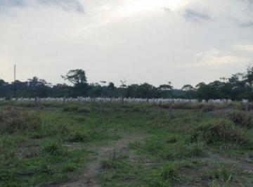 Rural · 12100000m² · FAZENDA A VENDA EM JUARA-MT!