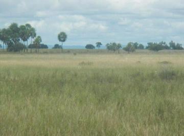 Rural · 44000000m² · ARRENDAMENTO OU VENDA ÓTIMA FAZENDA PECUÁRIA CÁCERES MT.