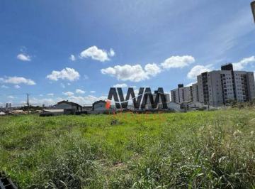 448df6bf14d43bf6c3c6030a5db31c8bddbdf75a · Área à venda, 2010 m² por R$ 1.100.000,00 - Vila Alzira - Aparecida de Goiânia/GO