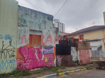 260c3b8ae8076ca52dceee7f14fb66cf.jpg · Terreno de 250m²