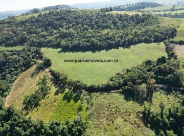 Foto 01 · Area, Interior, Nova Erechim, SC