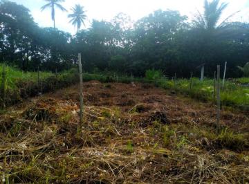 Terreno , Mata de São João · Excelente terreno em Imbassaí em ótima localização