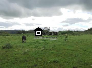 Rural · 640000m² · 2 Quartos · Vendo 64 hectares em Canguçu no 1 distrito