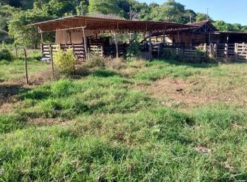 Foto 01 · Fazenda, Periquito, Periquito, MG