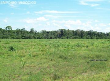 Foto 01 · Sítio venda. Empório Negócios vende sítio para café e pecuária em Monte Santo de Minas - MG.
